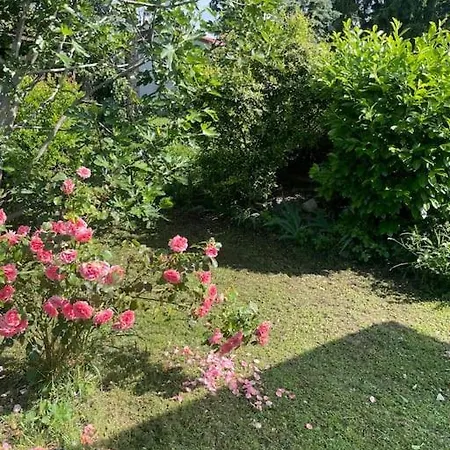 Sweet Hotel Szentendre