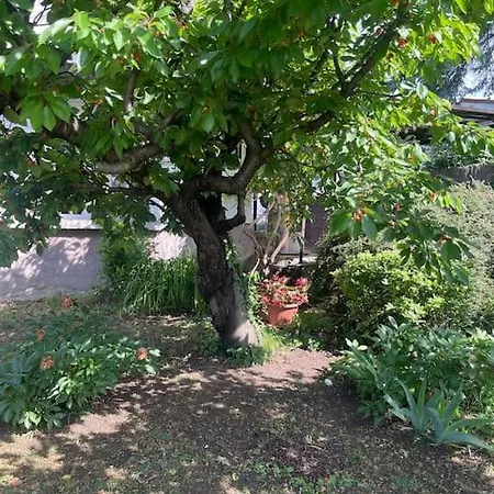 Sweet Szentendre